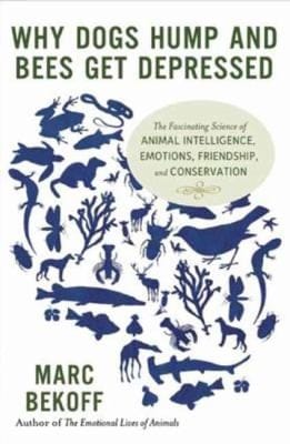 Why Dogs Hump and Bees Get Depressed