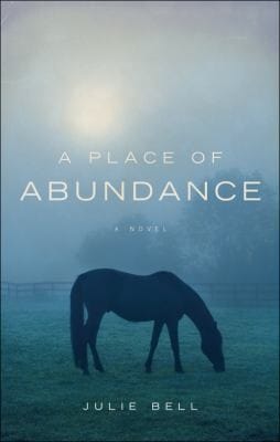 A Place Of Abundance A Novel