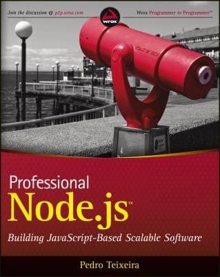 Professional NodeJs