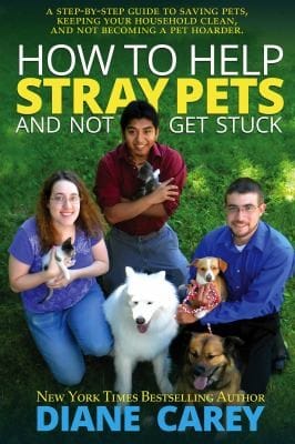 How to Help Stray Pets and Not Get Stuck