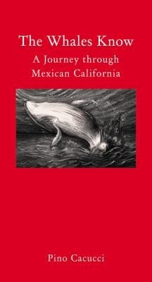The Whales Know A Journey Through Mexican California