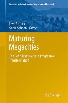 Maturing Megacities The Pearl River Delta In Progressive Transformation