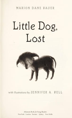 Little dog, lost