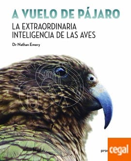A vuelo de pájaro. La extraordinaria inteligencia de las aves