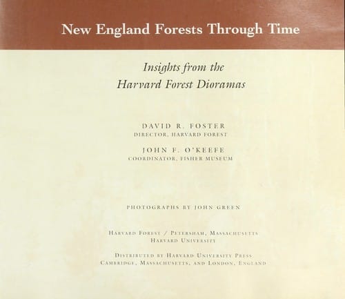New England forests through time