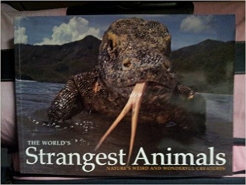 The World's Strangest Animals