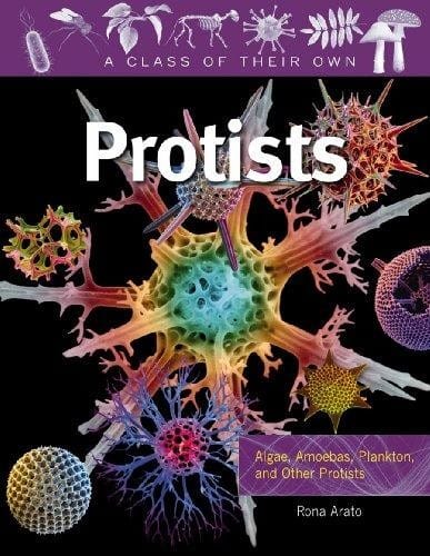 Protists : algae, amoebas, plankton and other protists