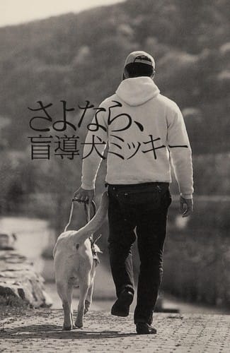 Sayonara, mo do ken Mikki