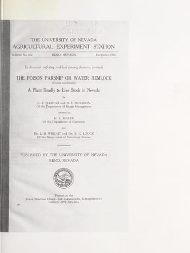 The poison parsnip or water hemlock