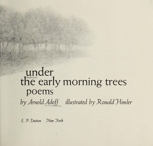 Under the early morning trees
