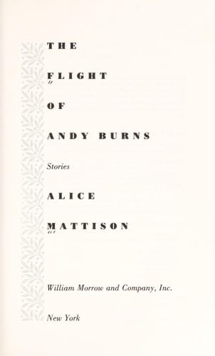The Flight of Andy Burns