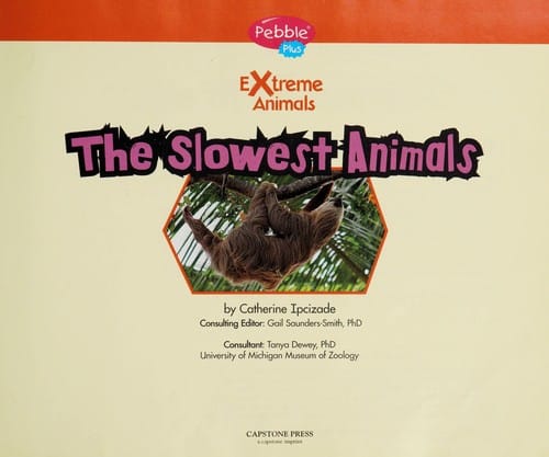 The slowest animals