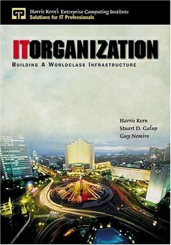 IT organization