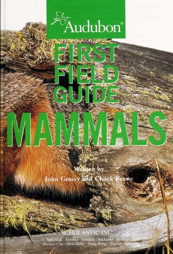 Mammals