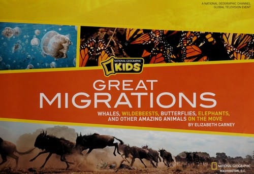 Great migrations