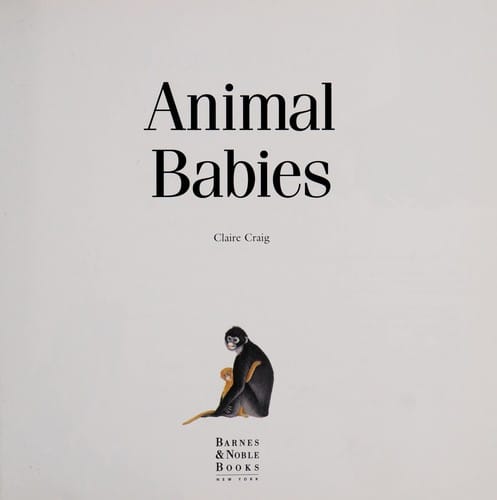 Animal babies
