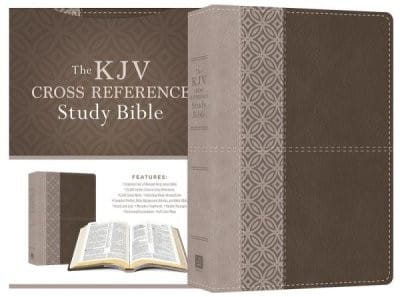 KJV CROSS REF STUDY STONE