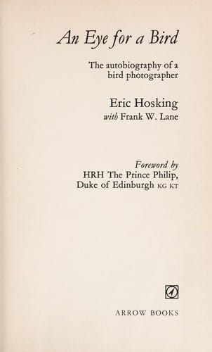 An eye for a bird