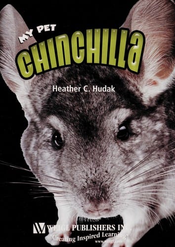 Chinchilla