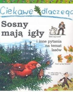 Ciekawe dlaczego sosny mają igły
