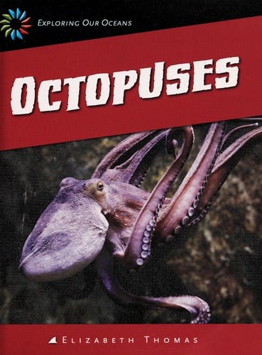 Octopuses