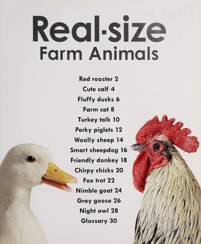 Real-size farm animals