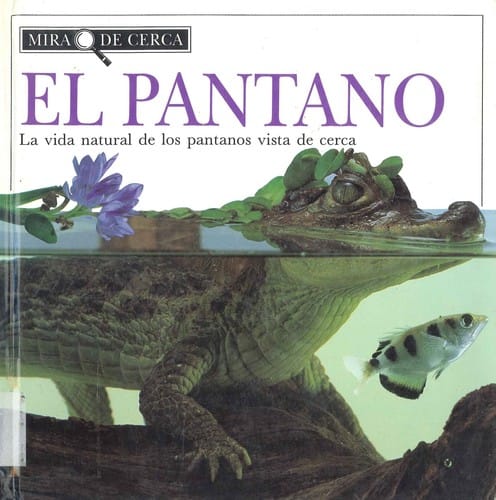 El pantano