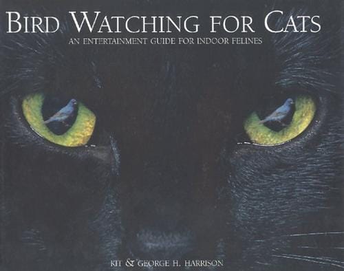 Bird watching for cats