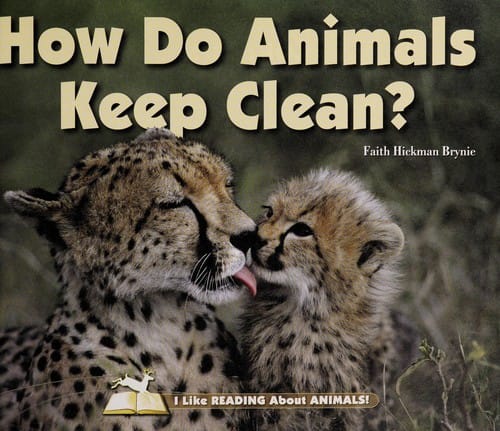 How do animals keep clean?