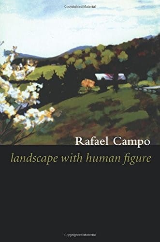 Landscape with Human Figure