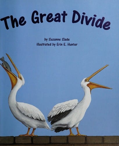The great divide