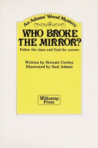 Who broke the mirror?