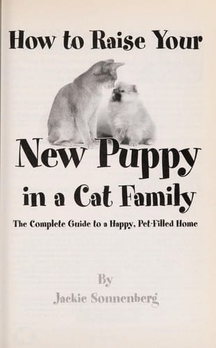 How to raise your new puppy in a cat family