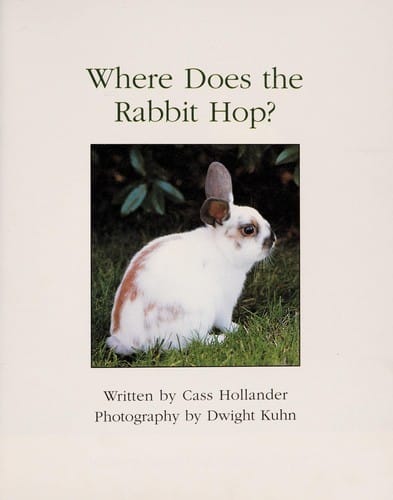 Where does the rabbit hop?