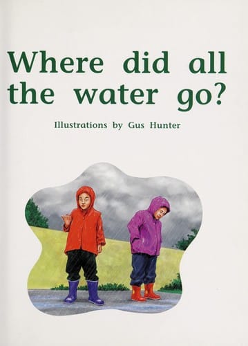 Where did all the water go?