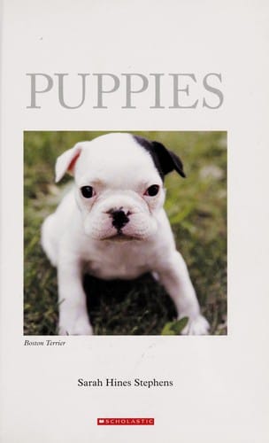 Puppies