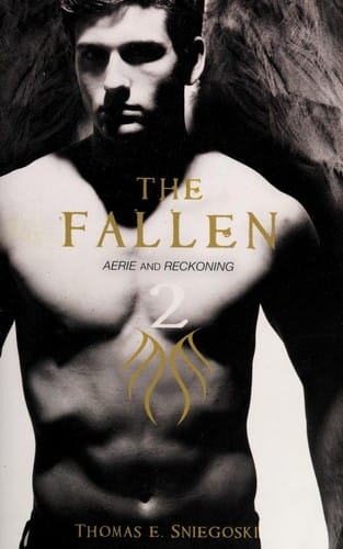 Fallen volume 2