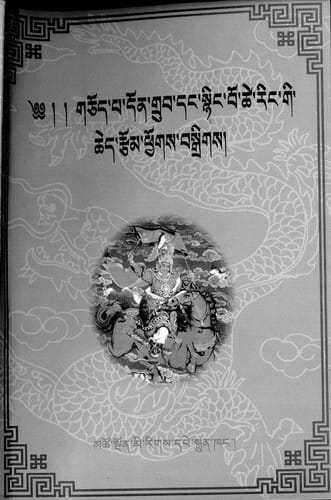 Gcod-pa Don-grub daṅ Sñiṅ-bo-tshe-riṅ gi ched rtsom phyogs bsgrigs