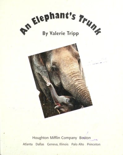 An elephant's trunk