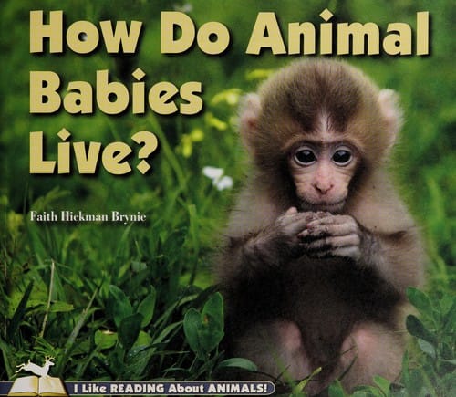 How do animal babies live?