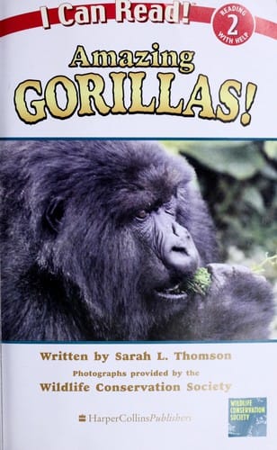 Amazing gorillas!