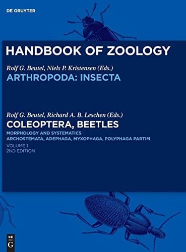 Coleoptera, Beetles. Morphology and Systematics