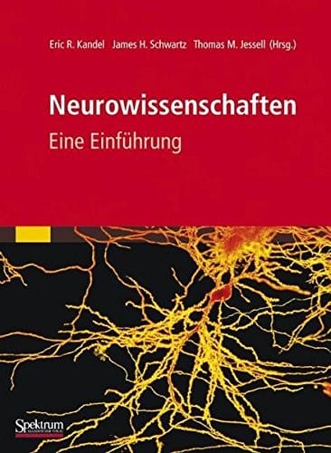 Neurowissenschaften: Eine Einführung (German Edition)