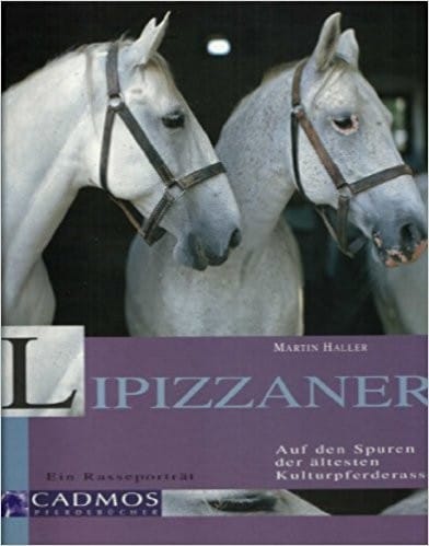 Lipizzaner.