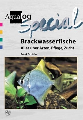 Brackwasserfische - Alles über Arten, Pflege und Zucht
