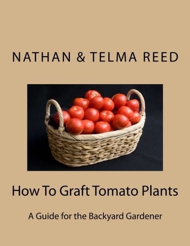 How To Graft Tomato Plants: A Guide for the Backyard Gardener