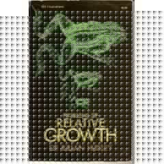 Problems of relative growth