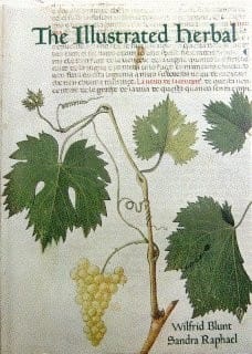 The illustrated herbal