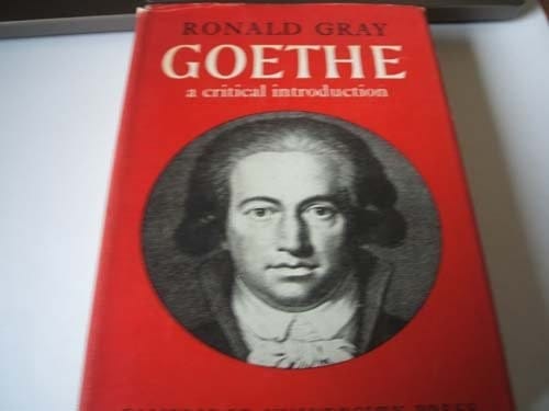 Goethe: A Critical Introduction (Major European Authors Series)