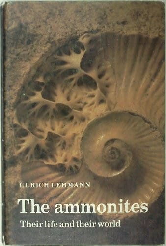 The ammonites